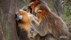 Love is a Battlefield