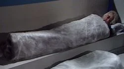 Planet of the Spiders, Part Five