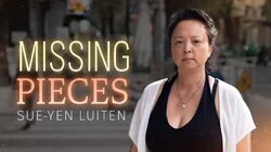 Missing Pieces - Sue-Yen Luiten