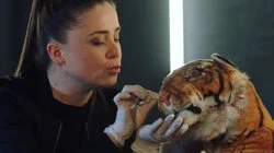 Племянники дяди Вити