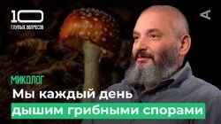 10 глупых вопросов МИКОЛОГУ