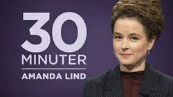 Miljöpartiets språkrör Amanda Lind