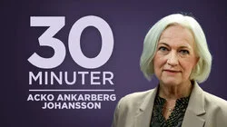 Acko Ankarberg Johansson (KD), sjukvårdsminister