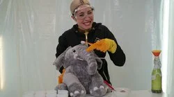 Science All Your Life