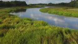 Mississippi Bigfoot, UFO Shot Down Over Great Lakes, & Mexico's Alien Corpses