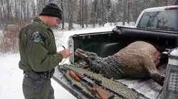 The Snow Tells a Story