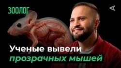 10 глупых вопросов ЗООЛОГУ