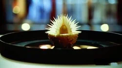 Pressure Test: Philip Khoury's Dawn of a Tropical New Day