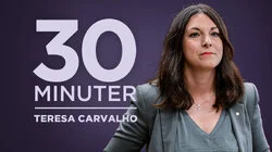 Teresa Carvalho (S), rättspolitisk talesperson