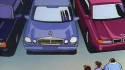 The Falling from Mt. Ryujin Case