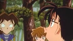 Mushrooms, Bears, and the Detective Boys (Part One)