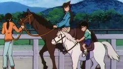 The Tragedy at the OK Corral