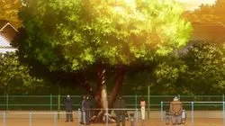 The Momotaro Mystery Tour (Part Two)