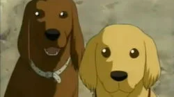 The Great Dog Coeur's Triumph