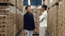 Chaos at the Mansion