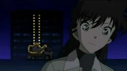 The Shadow of the Black Organization (The Strange Illumination)