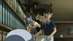 The Love of Lawyer Eri Kisaki