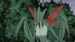 Let's Launch Our Counterattack