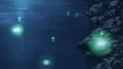 The Truth Lit Up by the Fireflies