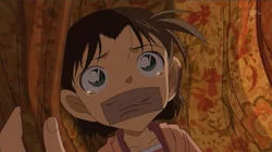 The Professor's Video Site (Part 1)