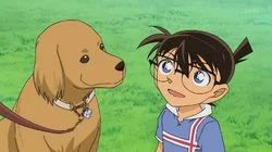 The Great Dog Coeur's Triumph 2