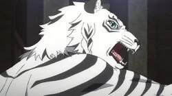 White Tiger