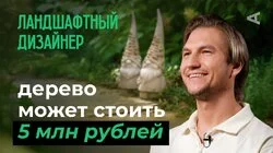 10 глупых вопросов ЛАНДШАФТНОМУ ДИЗАЙНЕРУ