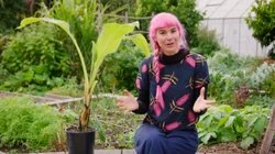 Episode 22 - Winter: Habitat Gardens & Plastic Free July