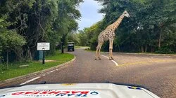 Diamantlandet Botswana