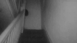 A Christmas Spirit and More