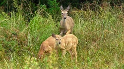 Lines In The Land And Lakes