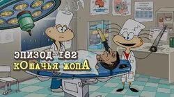 182. кОшачья жопА