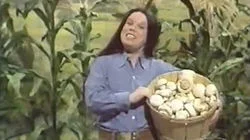 Robert Hays / Joe "King" Carrasco & the Crowns, 14 Karat Soul