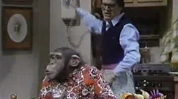 Chevy Chase / Jr. Walker and the All Stars