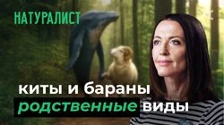 10 глупых вопросов НАТУРАЛИСТУ