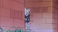 Holiday in Juban City! A Carefree Princess