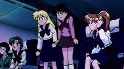 An Invitation to Terror! Usagi's Night Flight