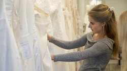 The Birds and the Bees