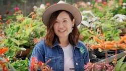 Episode 27 - Spring: Garden for Birds & No-Mow Lawn