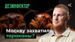 10 глупых вопросов ДЕЗИНФЕКТОРУ