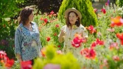 Episode 28 - Spring: Greenhouse Reveal & a Poppy Paradise