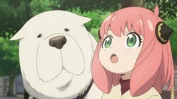 Berlint Panic | The Informant and Nightfall