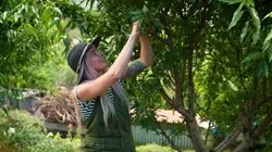 Episode 29 - Spring: Grow a Salad Patch & Vertical Garden