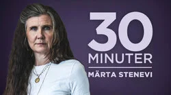 Märta Stenevi, Miljöpartiets f.d. språkrör