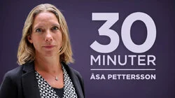Åsa Pettersson, vd för energiföretagen