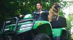 Fortitude Newfoundland