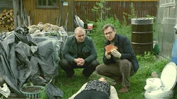 Тепличное растение