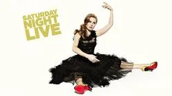 Amy Adams / Vampire Weekend