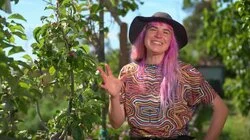 Episode 32 - Spring: Tropical Food Forest & Mini Deck DIY