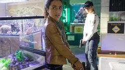 Das Krokodil im Badesee